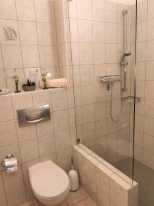 a bathroom with a toilet and a glass shower at Ferienwohnung Sächsische Schweiz in Bielatal