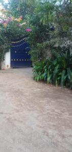 Eine blaue Bank, die neben einem Haufen Pflanzen sitzt. in der Unterkunft Meya Beach Walk Hotel in Mahabalipuram