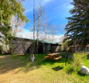 a yard with a picnic table and a bench at Rolling R Guest Ranch in Meeker