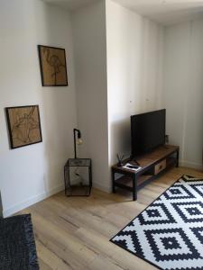 een woonkamer met een flatscreen-tv en een houten vloer bij Cocon au coeur du petit bayonne in Bayonne