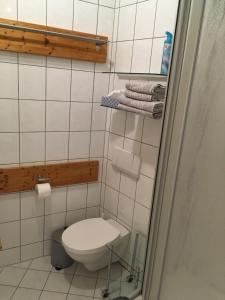 La petite salle de bains est pourvue de toilettes et de serviettes. dans l'établissement Ferienwohnung Mittendrin -Balkon-, à Meissen