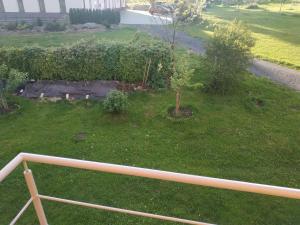 Zahrada ubytování Apartmán Švandovi