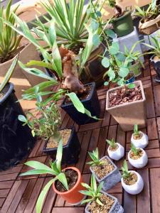Imagem da galeria de DJANGO Hostel & Lounge em Tanabe