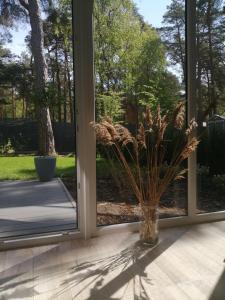 盧克的住宿－Sosnowe Zacisze Apartament，窗前的花瓶,上面有草