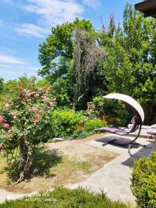 un banco en un jardín con un árbol y flores en Un Giardino sul Lago, en Montefiascone