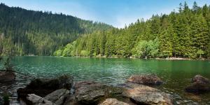 Príroda v okolí apartmánu