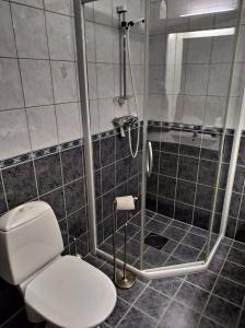 een badkamer met een wit toilet en een douche bij Sinnes Fjellstue Apartment 1F in Tjørhom