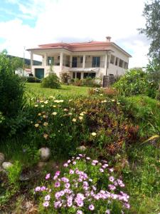a house with a field of flowers in front of it at Casa Gaia in Serpins