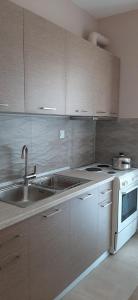 Kuchyň nebo kuchyňský kout v ubytování SEA VIEW APARTMENTS Aphrodite + 18 fotografií