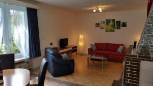 sala de estar con sofá rojo y chimenea en Ferienhaus Monarda, en Hahnenklee-Bockswiese