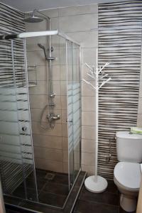 a bathroom with a glass shower with a toilet at Alkyon Perea Apartments in Perea