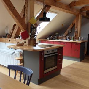 een keuken met rode kasten en een fornuis met oven bij Botanische Botschaft in Strodehne