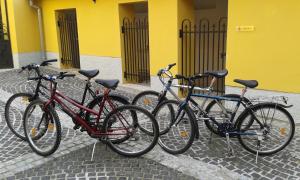 Jazda na bicykli v okolí ubytovania Ciszterci Szállás Pécs