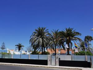 a row of palm trees behind a white fence at Birdcage Gay Men Resort and Lifestyle Hotel in Playa del Ingles