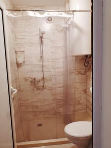 プロブディフにあるMaria Luiza Apartmentのバスルーム(シャワー、トイレ付)