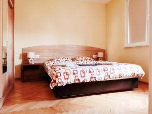 プロブディフにあるMaria Luiza Apartmentのベッドルーム1室(木製ヘッドボード付きのベッド1台付)