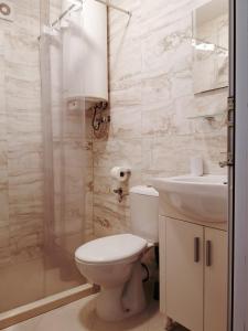 プロブディフにあるMaria Luiza Apartmentのバスルーム(トイレ、洗面台、シャワー付)