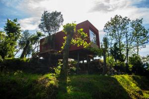 a house on a hill with a tree at Welcome to Gerês-Green view in Vieira do Minho +16 photos