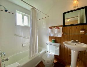 a bathroom with a sink and a toilet and a shower at Emerald Valley Inn in Port Angeles