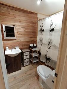 een badkamer met een wit toilet en een wastafel bij The Loft in Las Trancas