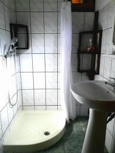 uma casa de banho com um chuveiro e um lavatório. em Rustic House em Stâna de Vale