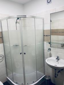 ein Bad mit einer Dusche und einem Waschbecken in der Unterkunft Thermal Apartman in Makó