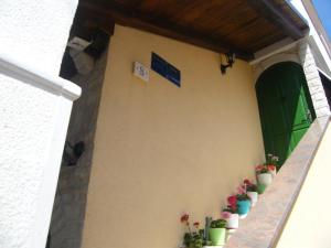 a green door with potted plants on the side of a building at Apartment Mamut in Premantura