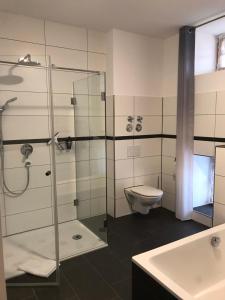 een badkamer met een douche, een toilet en een wastafel bij Pferdehof Dietzsch, Tittmoning in Tittmoning