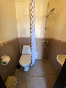 a bathroom with a toilet and a sink and a shower at Uytno in Chornomorsk +25 photos