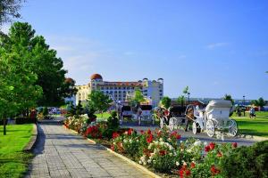 a group of horse drawn carriages parked in a park at Obzor Tatyana Apartaments Nemo in Obzor