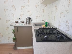 a kitchen with a stove and a sink at Apartment on Zoe Kosmodemyanskoy in Pinsk