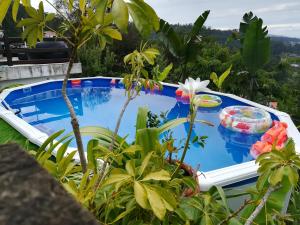 2 bedrooms villa with lake view private pool and enclosed garden at Vila Nova de Famalicaoの敷地内または近くにあるプールの景色