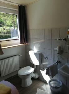 a bathroom with a white toilet and a window at Pension "Dorfkrug" in Winterberg