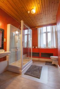 een grote badkamer met een douche en een toilet bij GÎTE LA MARQUISETTE in Houyet