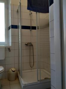 Koupelna v ubytování Apartments Todorovic