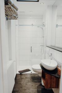 a bathroom with a toilet and a sink and a shower at Ferienwohnung Alte Wäscherei in Kitzingen