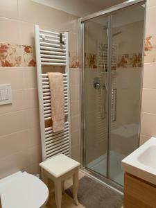a bathroom with a shower and a toilet and a sink at Bed and Room Al Fiume Piovego in Padova