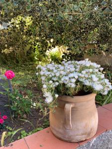 A garden outside L'Agrifoglio Dell'Etna