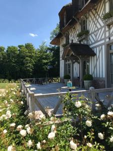 New Cottage & spa de nage Guesthouse外面的花园