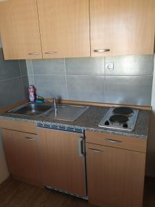 a small kitchen with a sink and a stove at Apartments Todorovic in Pula