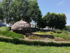 Un jardín fuera de Alojamiento Camiño Real 43 fotos más