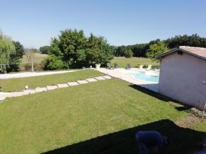 a dog standing in a yard next to a pool at Gîte le pastel in Puéchoursi +2 photos