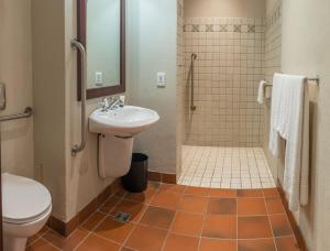 een badkamer met een wastafel, een toilet en een douche bij Peermont Metcourt at Frontier, Bethlehem in Bethlehem