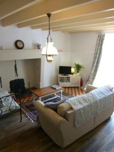 ein Wohnzimmer mit einem Sofa und einem TV in der Unterkunft Le Cerisier et Le Petit Cerisier in L'Etang des Faures 