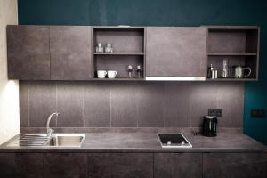 Kuchyň nebo kuchyňský kout v ubytování Apartmány Dačický 1