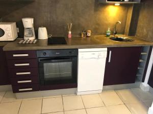 a kitchen with a sink and a dishwasher at Studio Moderne, Centre Ville Marigot in Marigot