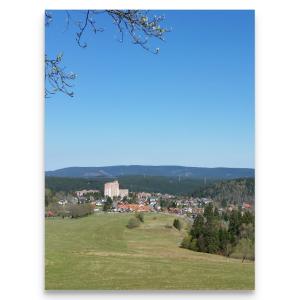 a view of a city from the top of a hill at Harz Zeit in Altenau