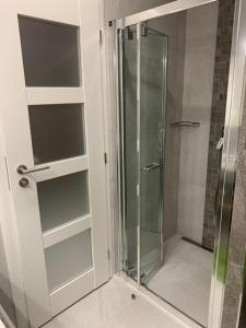 a shower with glass doors and shelves in a bathroom at Hrebienok 2 Apartman D109 in Smokovce +6 photos