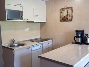 Kuchyň nebo kuchyňský kout v ubytování Apartamentos Grifo Vacances Grizzly