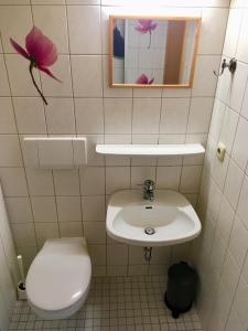 a bathroom with a toilet and a sink and a mirror at Ferienwohnung Watzmann - Haus Martin in Bischofswiesen +1 photo